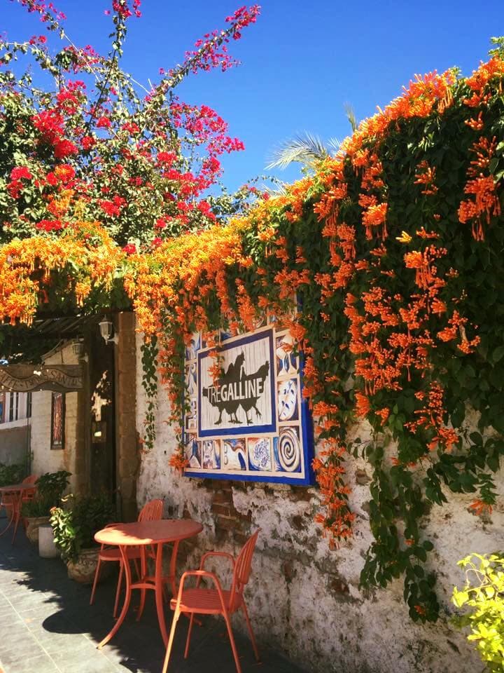 Todos Santos y el Tre Galline